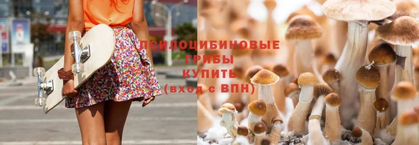 MDMA Premium VHQ Аркадак