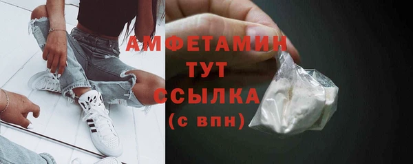 ПСИЛОЦИБИНОВЫЕ ГРИБЫ Арсеньев