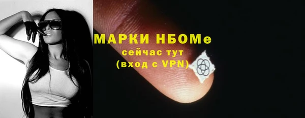 ПСИЛОЦИБИНОВЫЕ ГРИБЫ Арсеньев