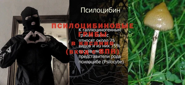 ПСИЛОЦИБИНОВЫЕ ГРИБЫ Арсеньев