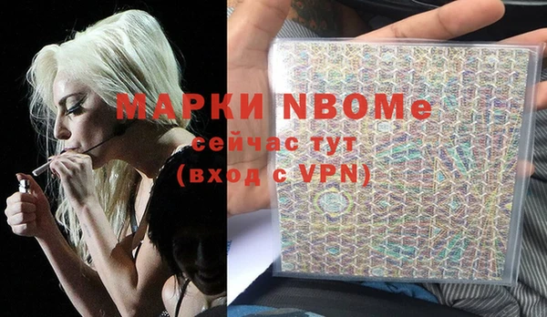 ПСИЛОЦИБИНОВЫЕ ГРИБЫ Арсеньев