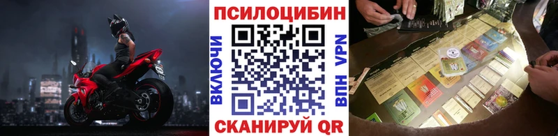 где можно купить   Барыш  мега рабочий сайт  Псилоцибиновые грибы Psilocybe 